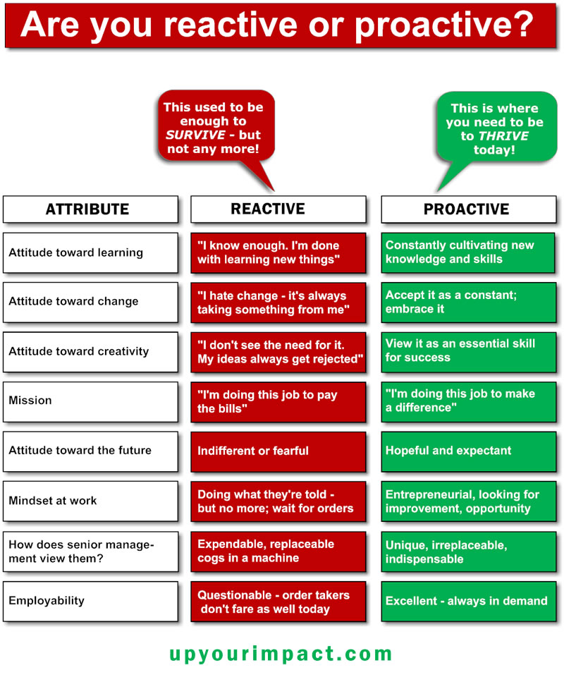 be focused pro vs